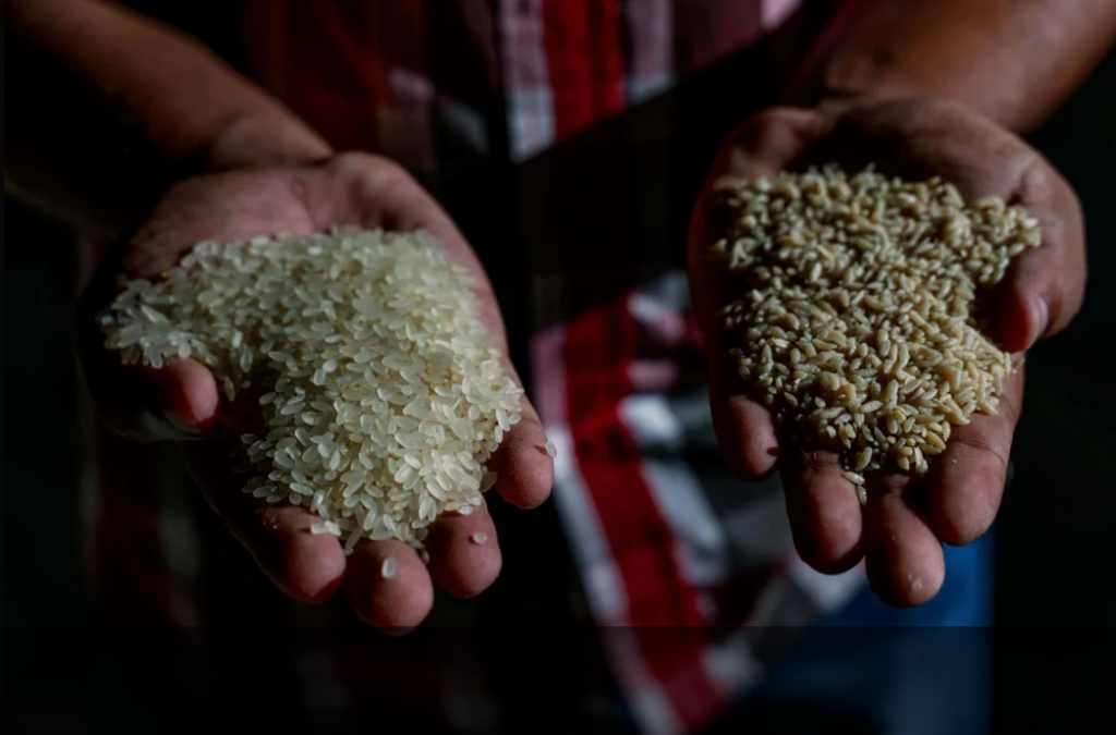 Fortified Rice